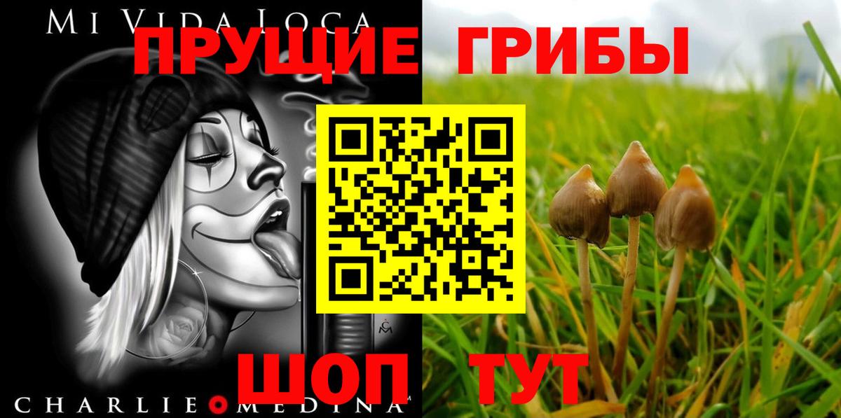 Галлюциногенные грибы Magic Shrooms Кызыл